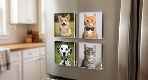 Custom 3"x3" Clear Acrylic Photo Magnet Gallery